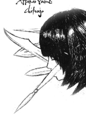 Cover of Warm Dream: Order