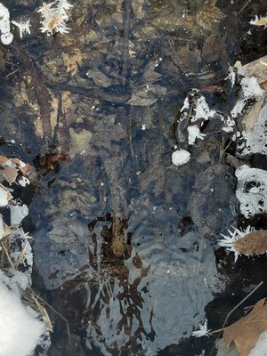 Cover of I DIED A LONG TIME AGO