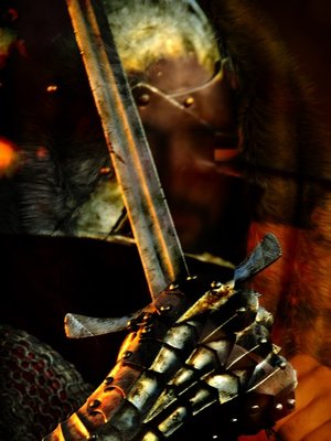 Cover of Swords & Shadows