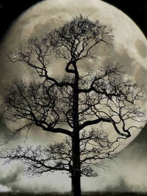 Cover of Sigismund of Castle Nubilous