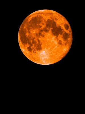 Cover of Grab happiness with my own hands