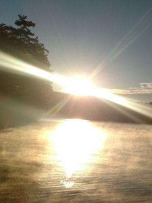 Cover of The Dawn of the Renewal
