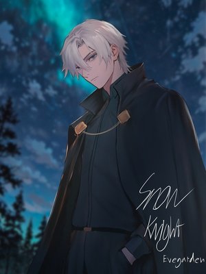 Cover of The Snow Knight