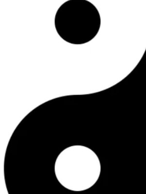 Cover of Taoist Master