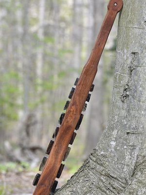 Cover of Sacrifice Girl