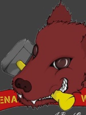 Cover of Hyena Werks