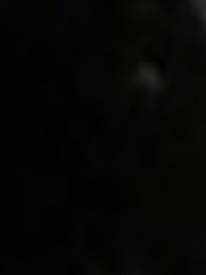 Cover of A New Light In Interria