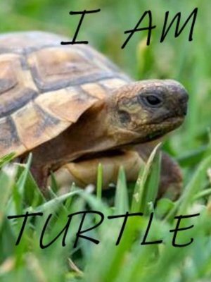 Cover of I Am Turtle