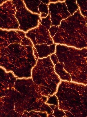 Cover of A Working Title