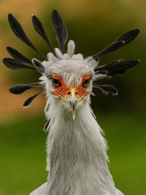 Cover of A small collection of short stories