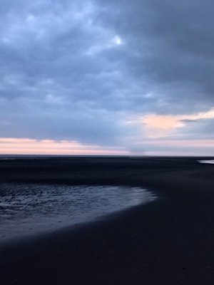 Cover of Screaming in the Blue