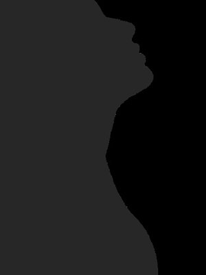 Cover of Titulo de la novela español