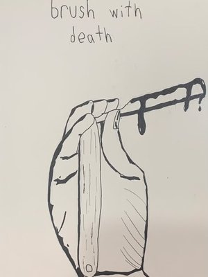 Cover of Brush with Death