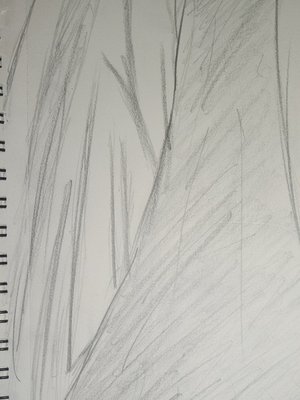 Cover of Whispers of the void