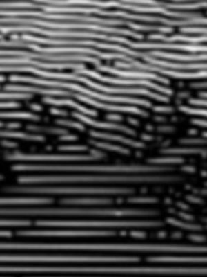 Cover of Gods Above and Ghouls Below