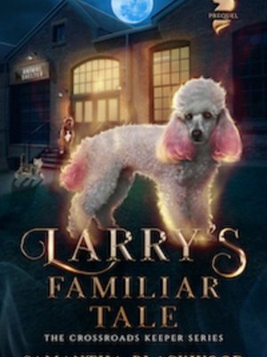 Cover of The Crossroads Keeper Series