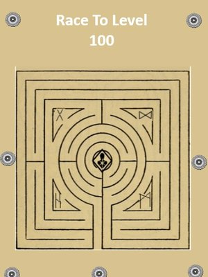 Cover of Race To Level 100