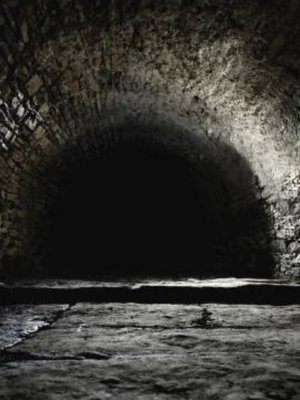 Cover of The Spiral Dungeon