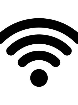 Cover of Wraithbound: Internet