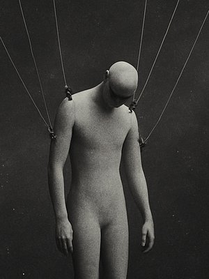 Cover of Prophet of Entropy