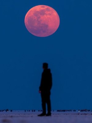 Cover of The Moons Last Whisper