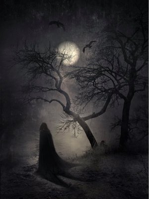 Cover of Hollow Moon