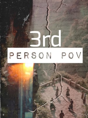 Cover of 3rd Person POV