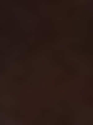 Cover of Number One's Lover